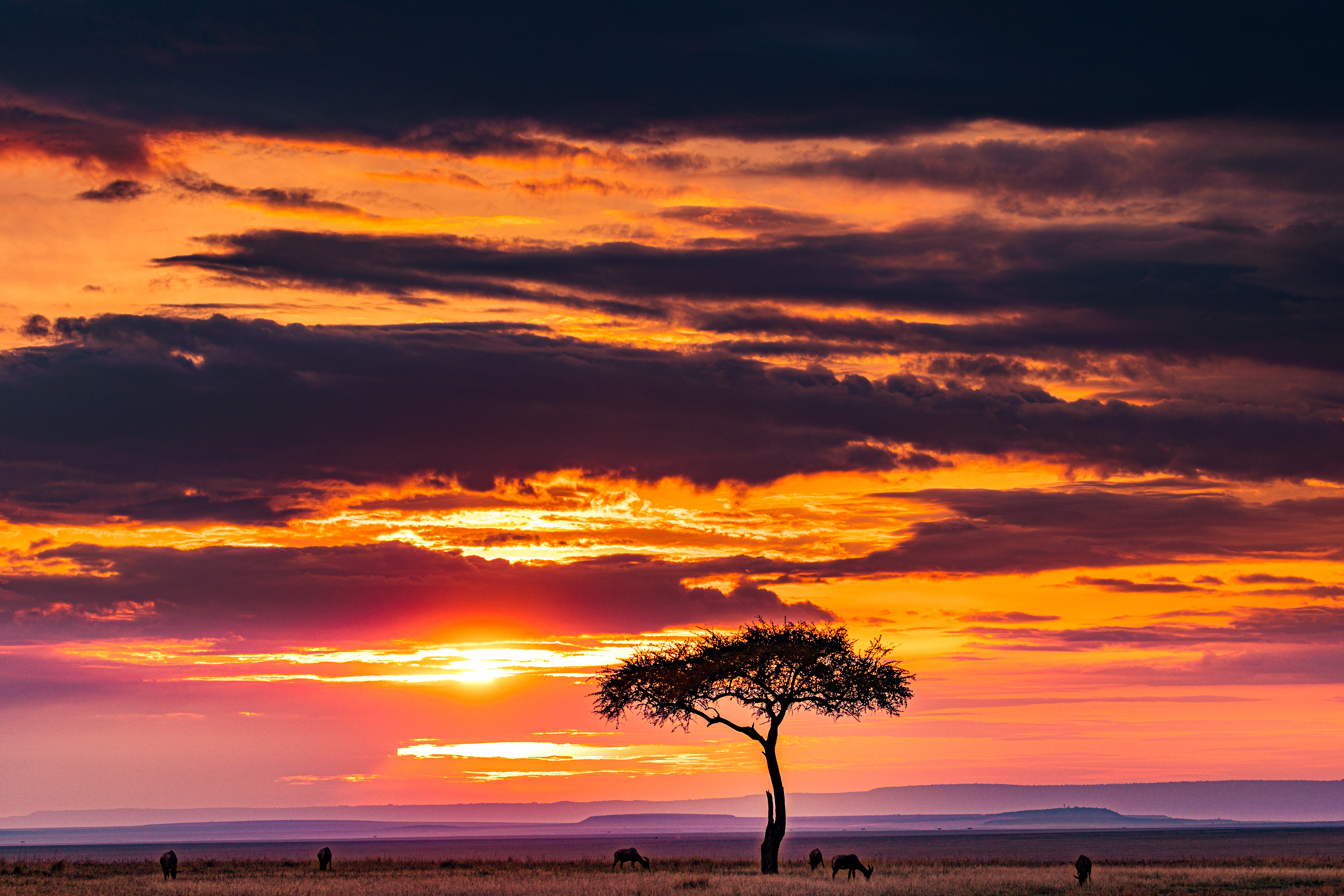 East Africa